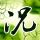 定制新版圣家族大学文凭【degxx.com】
